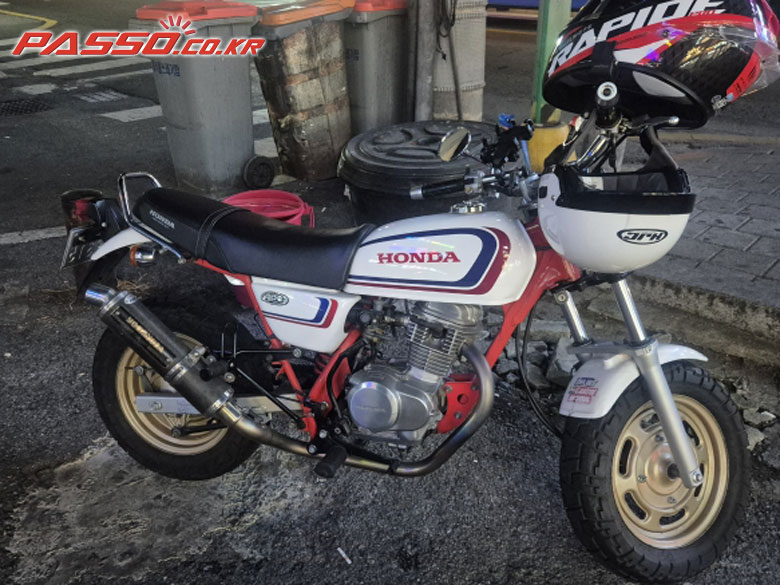 Honda 에이프 100