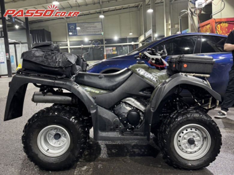 Suzuki 오자크 250