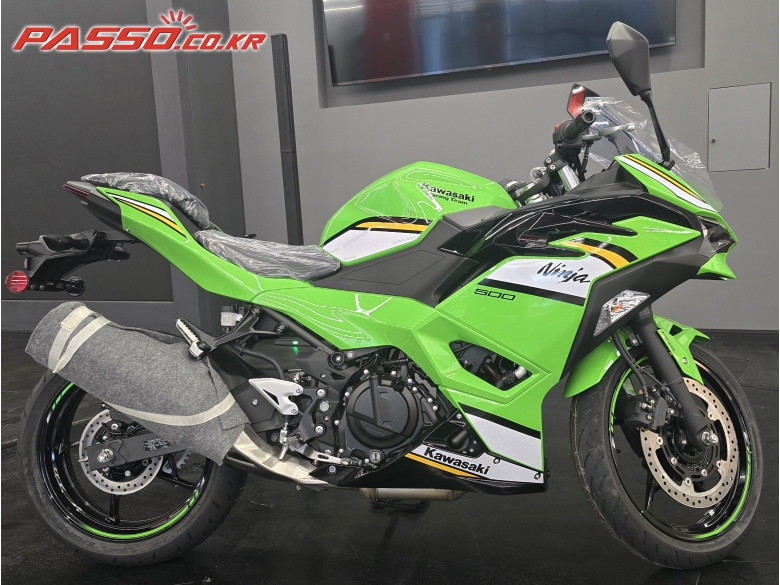 Kawasaki 닌자 500 R