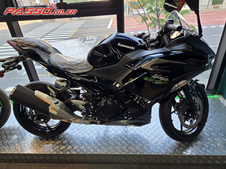 Kawasaki 닌자 500 R