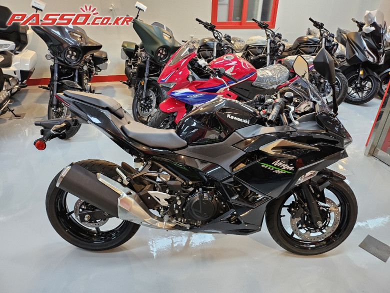Kawasaki 닌자 500 R