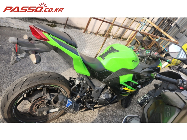 Kawasaki 닌자 300