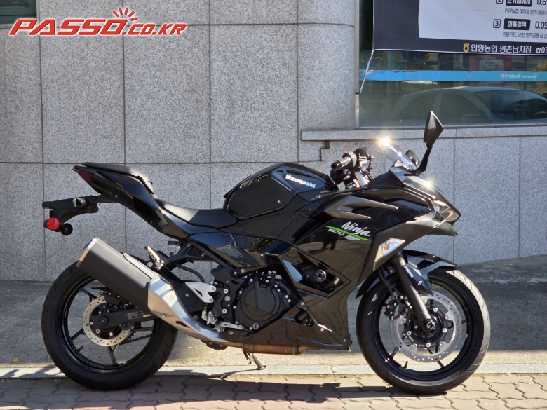 Kawasaki 닌자 500 R