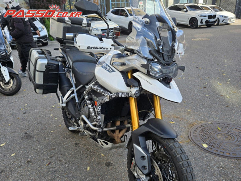 Triumph 타이거 900 랠리 프로