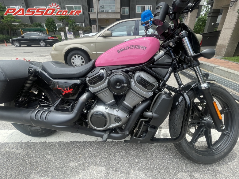 Harley-Davidson 나잇스터 975