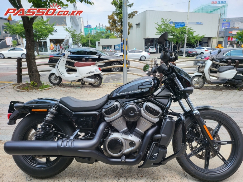 Harley-Davidson 나잇스터 975