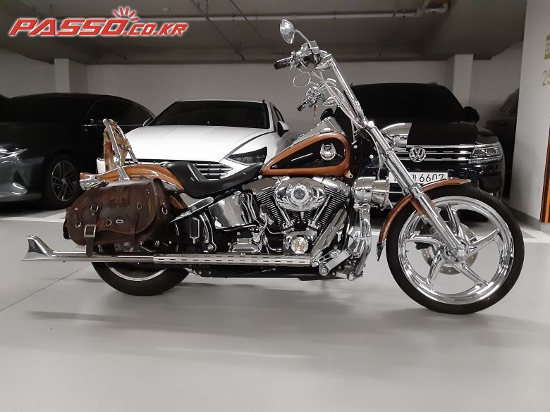 Harley-Davidson 소프테일 커스텀