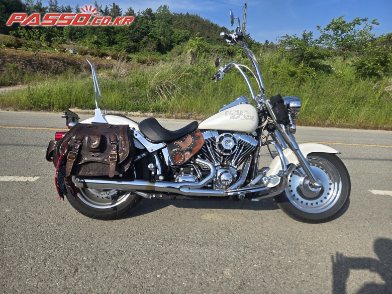 Harley-Davidson 팻보이