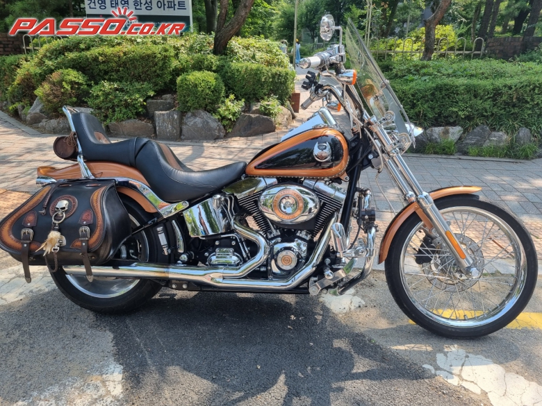 Harley-Davidson 소프테일 커스텀