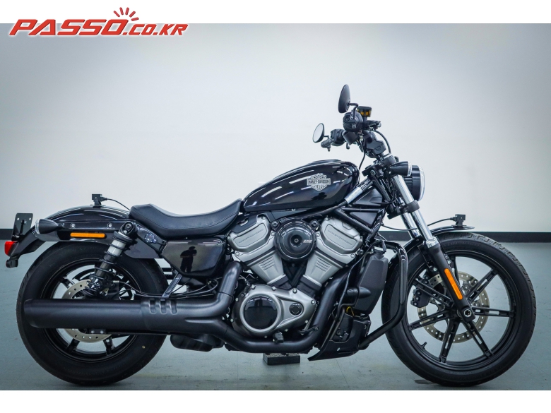 Harley-Davidson 나잇스터 975
