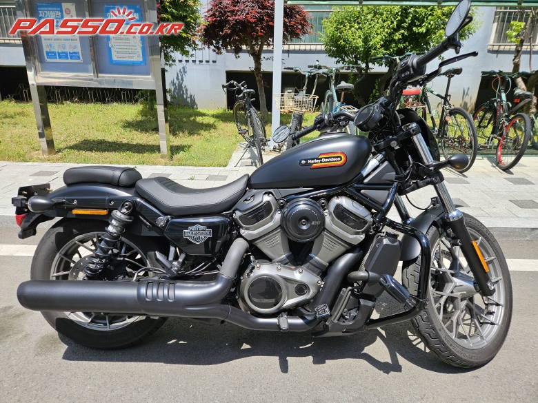Harley-Davidson 나잇스터 스페셜 975