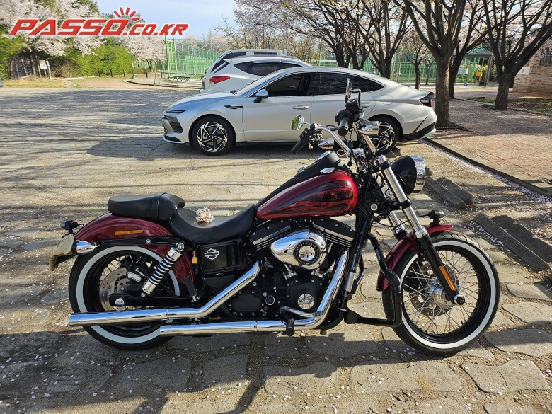 Harley-Davidson 다이나 스트릿밥