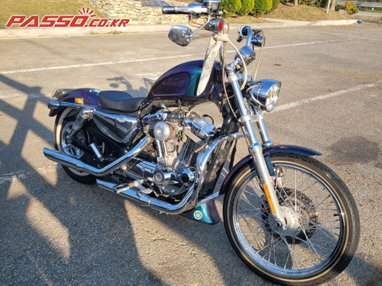 Harley-Davidson 883 커스텀