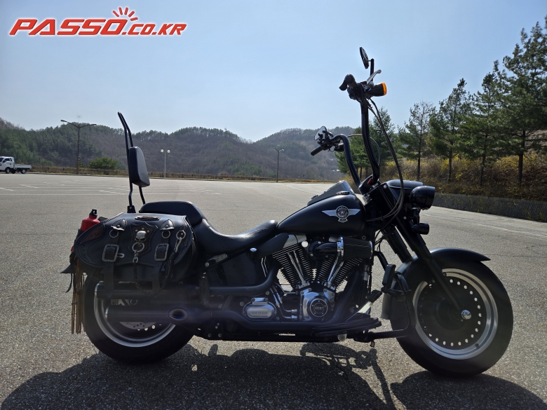Harley-Davidson 팻보이