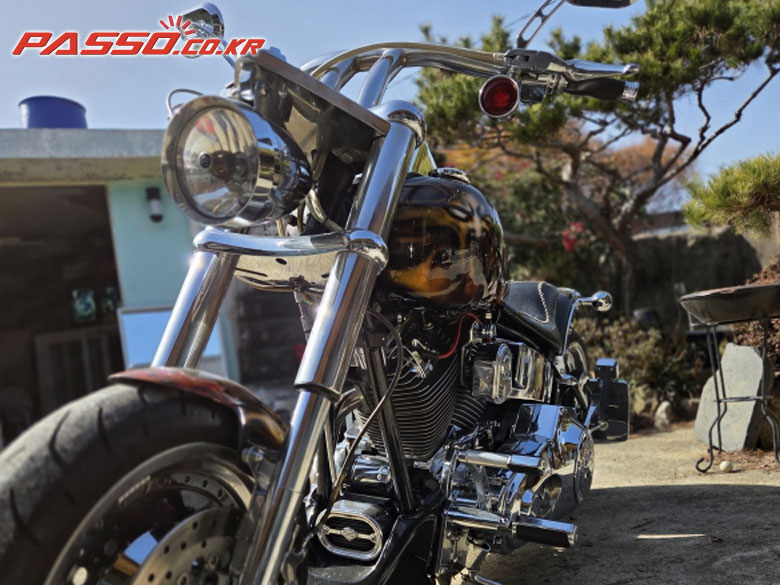 Harley-Davidson 팻보이 S