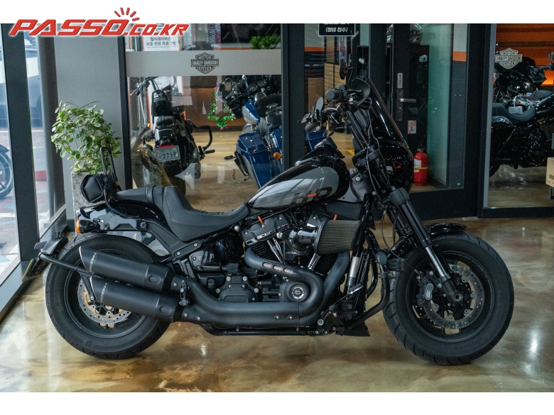 Harley-Davidson 소프테일 팻밥