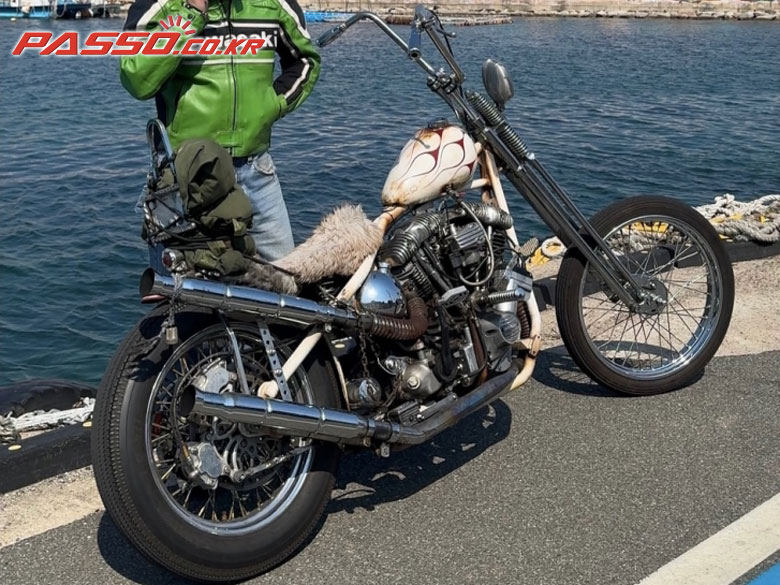 Harley-Davidson FLH