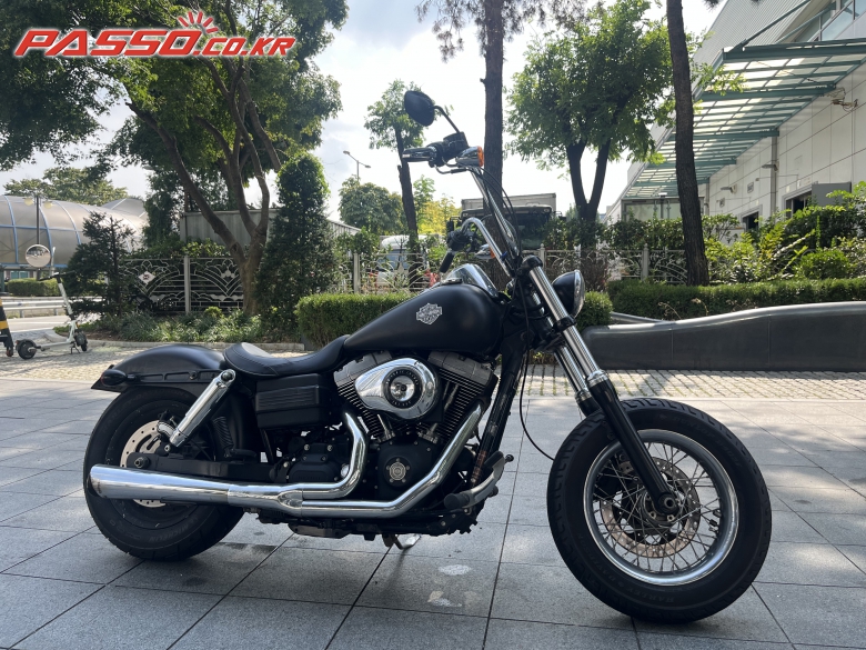 Harley-Davidson 다이나 팻밥