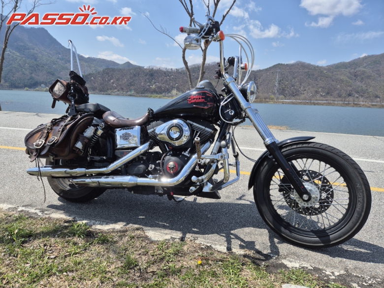 Harley-Davidson 다이나 스트릿밥
