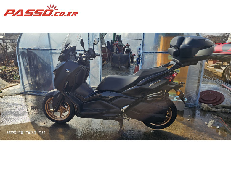 Yamaha X 맥스 300 ABS