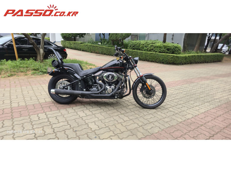 Harley-Davidson 블랙라인