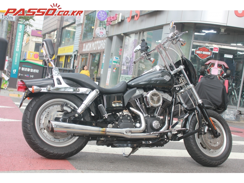 Harley-Davidson 다이나 팻밥