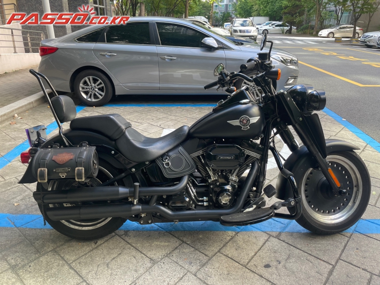 Harley-Davidson 팻보이 S