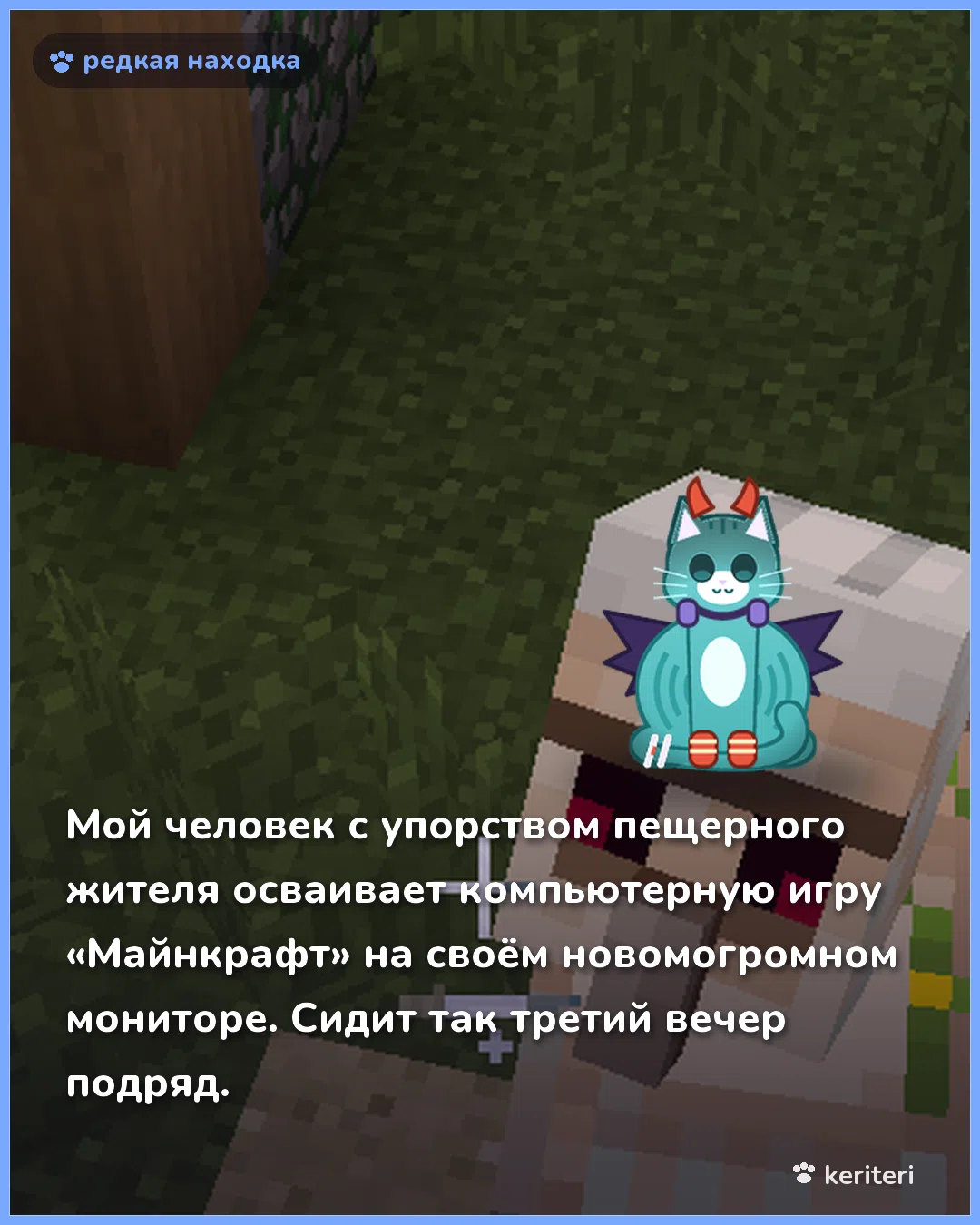 открытка