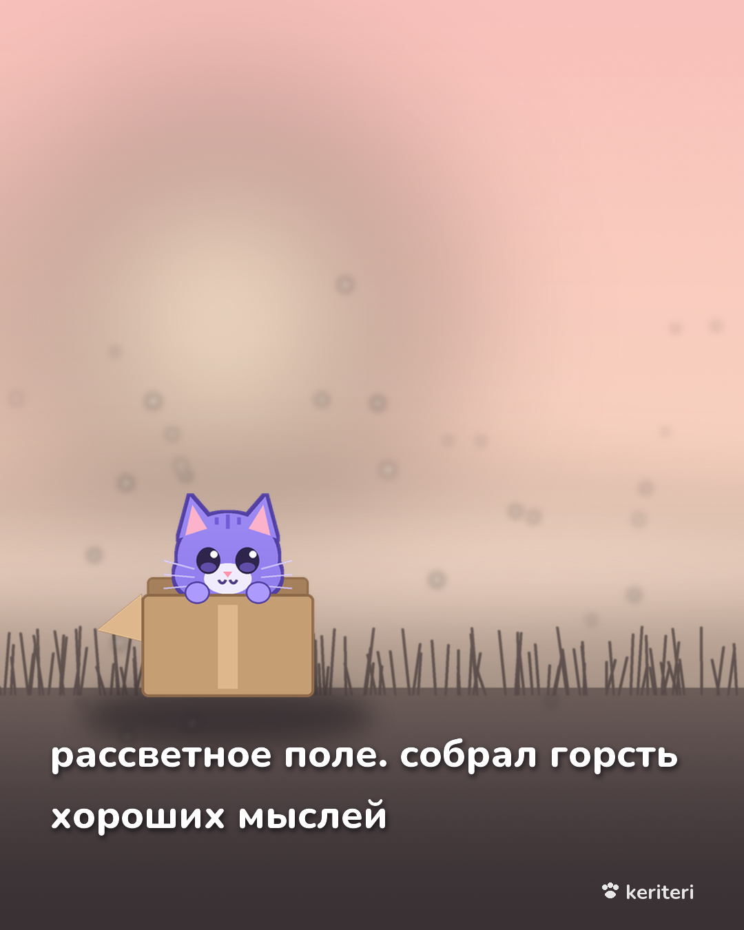 открытка