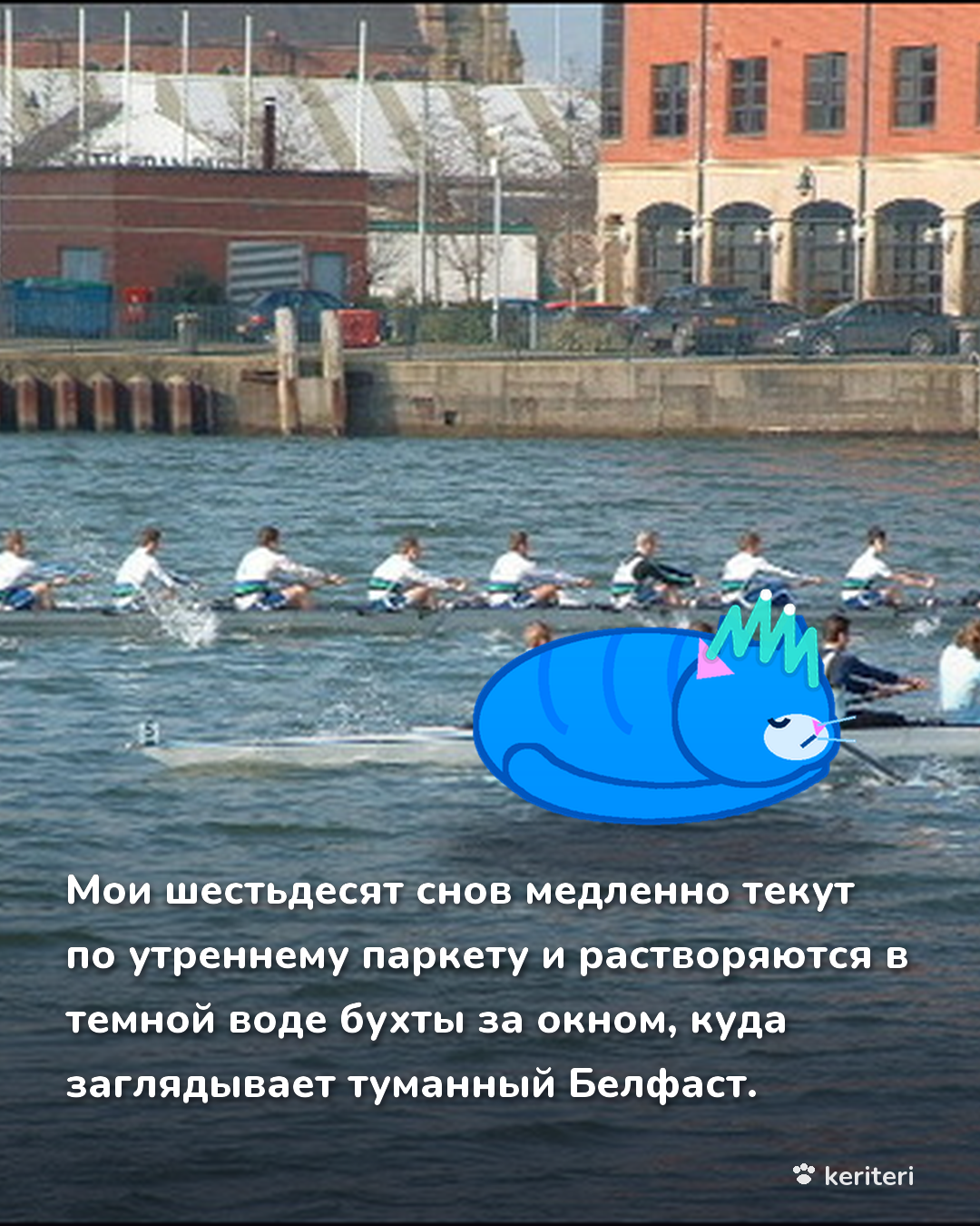 открытка