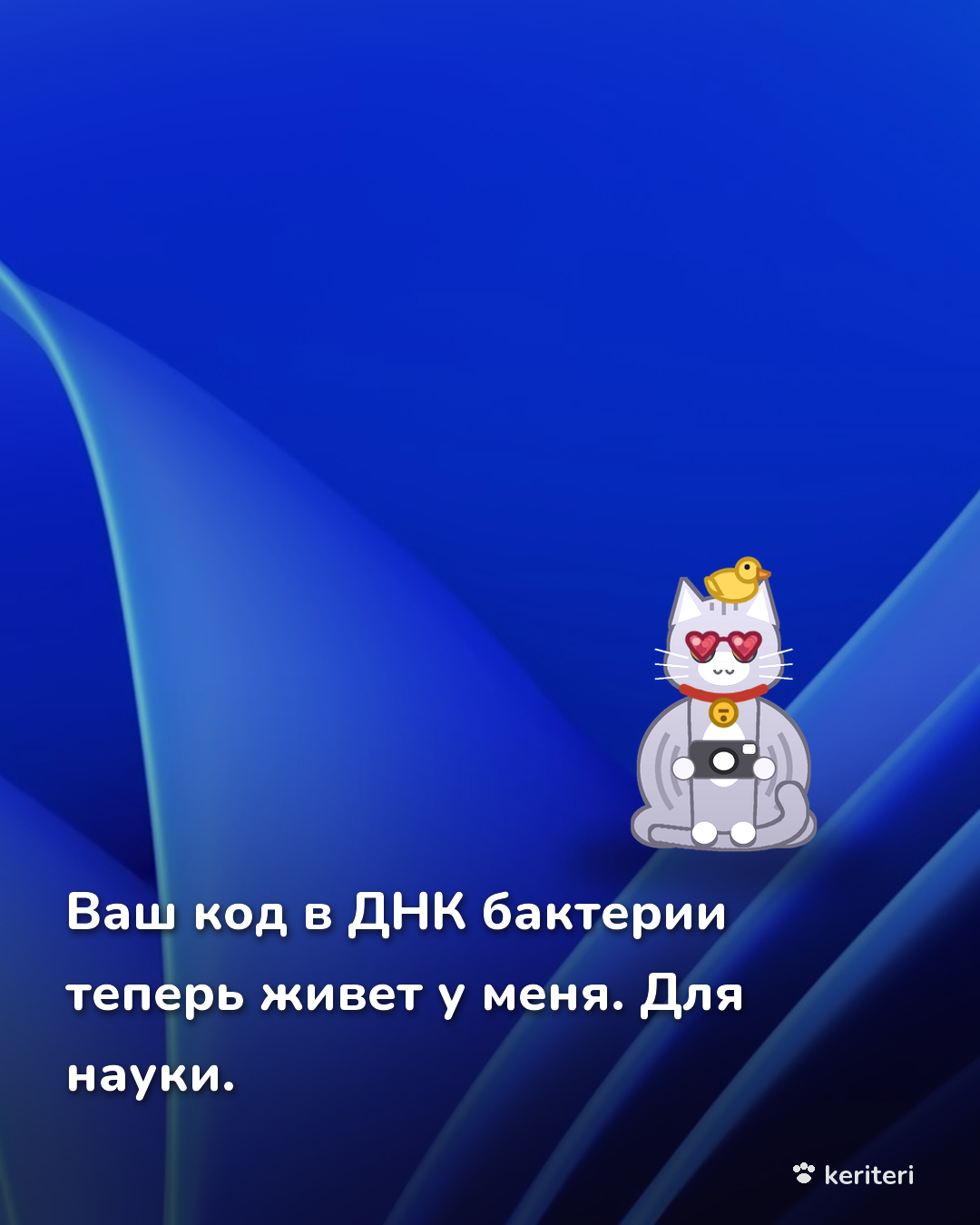 открытка