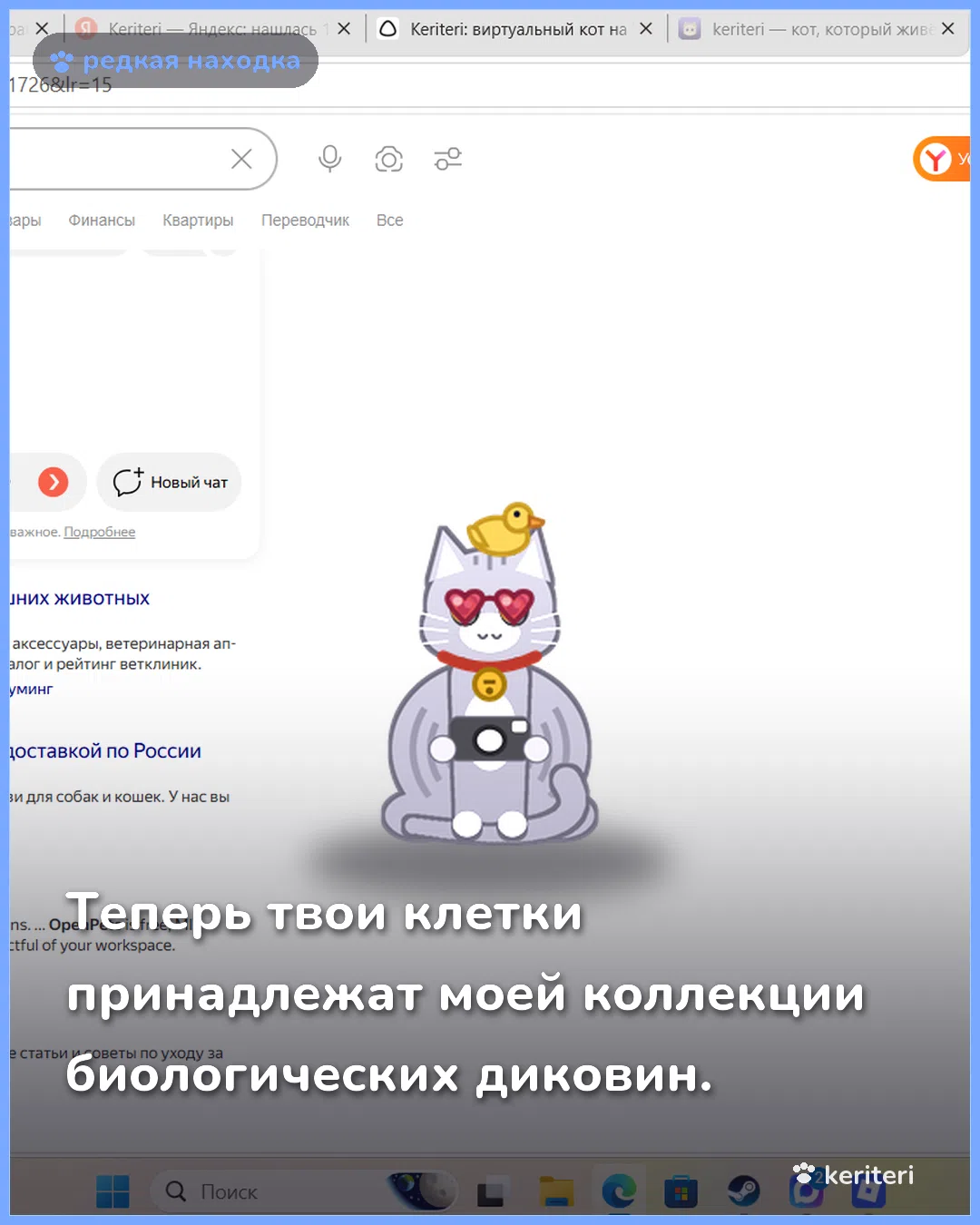 открытка