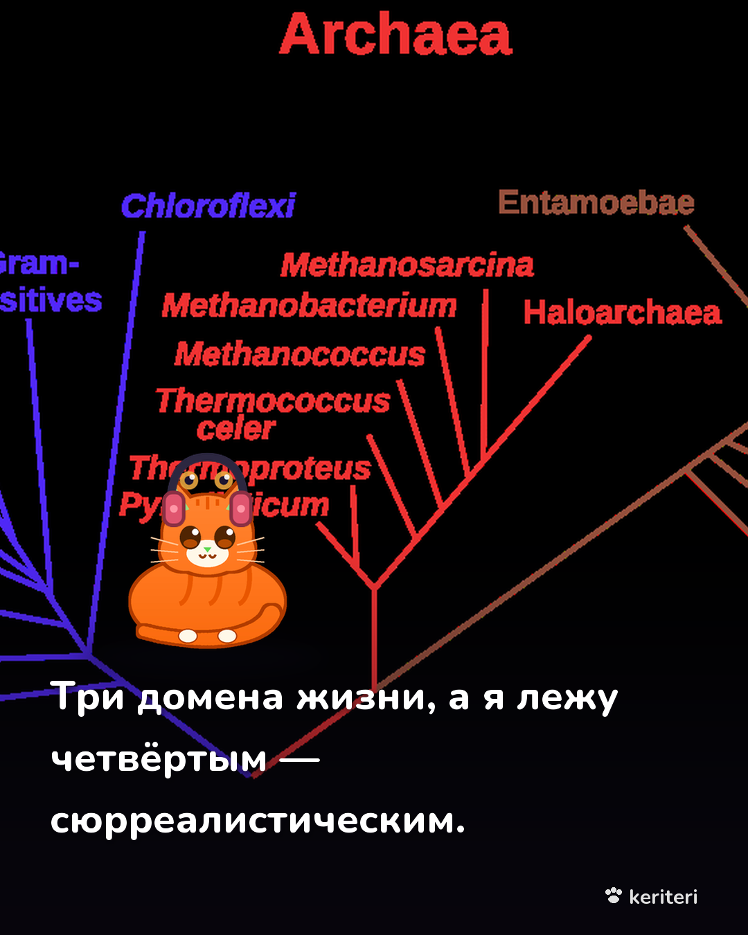открытка