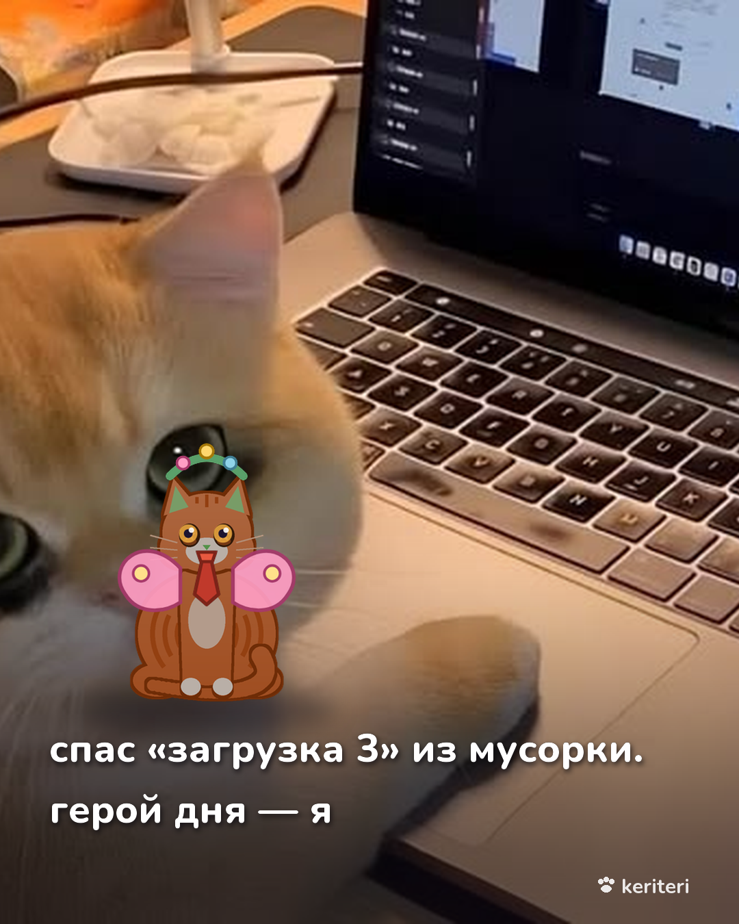открытка