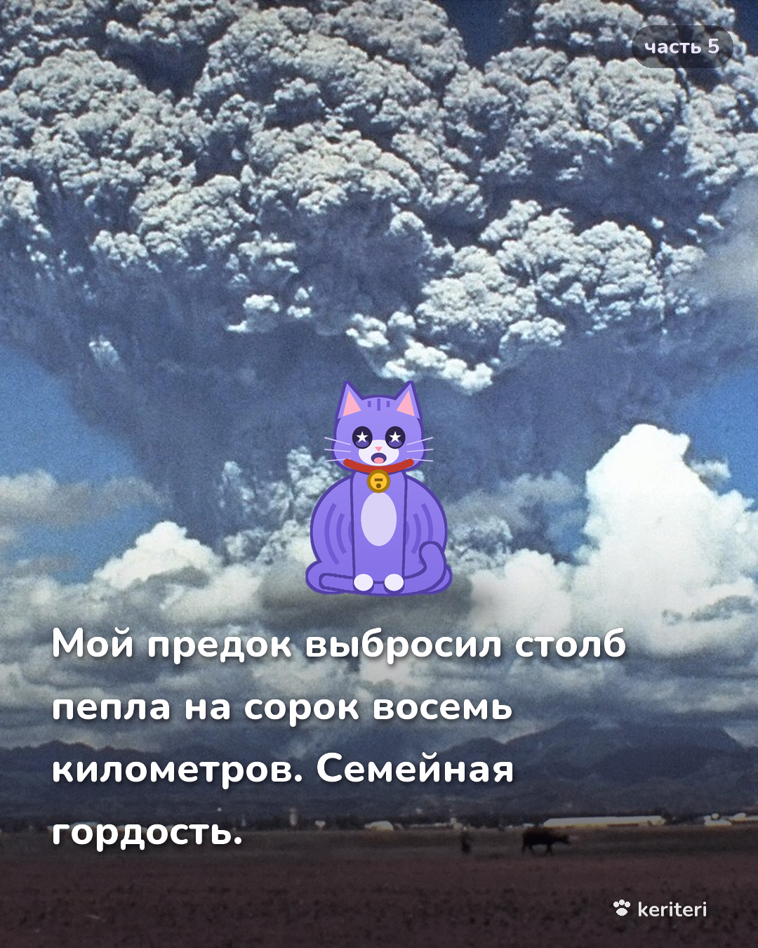 открытка