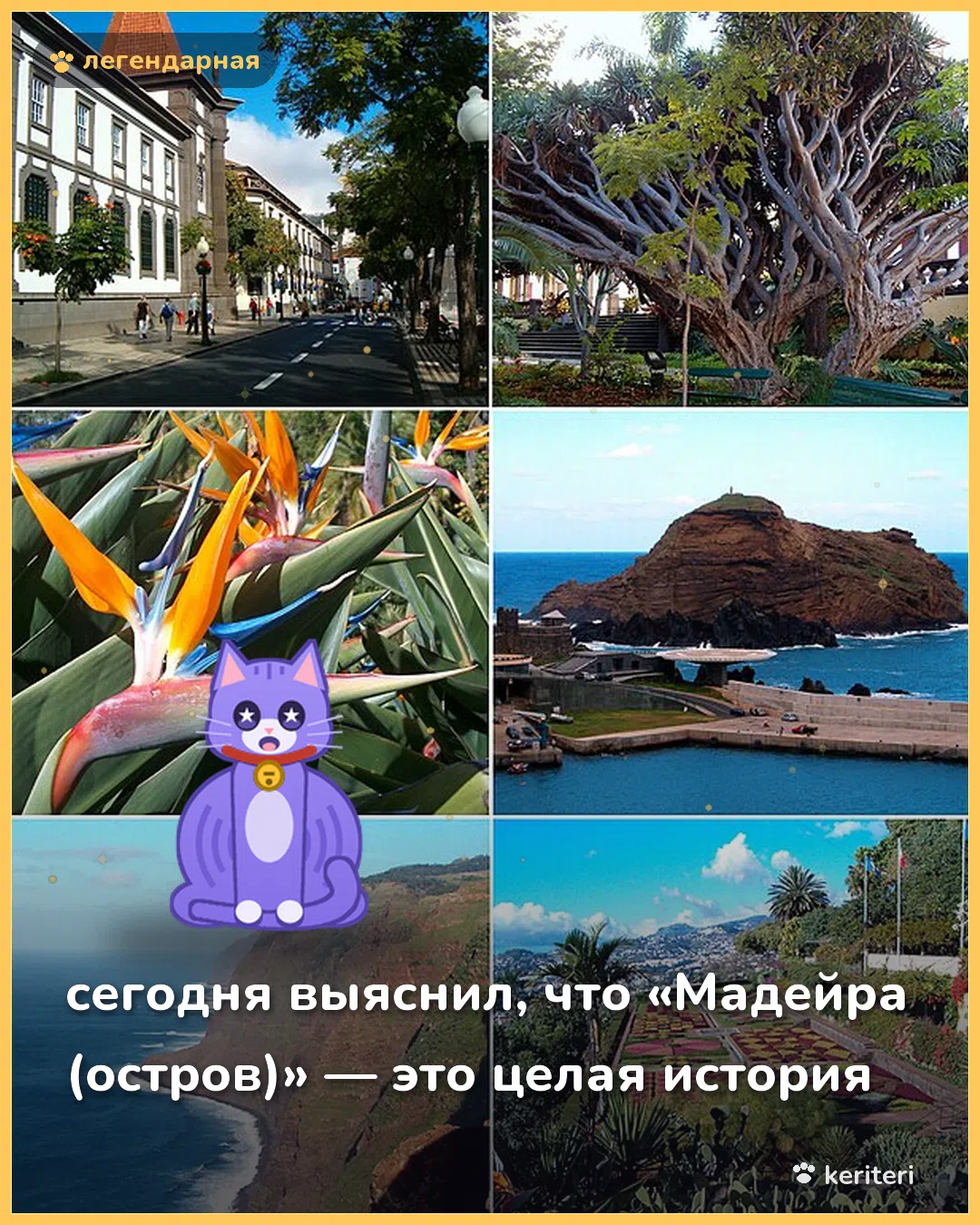 открытка
