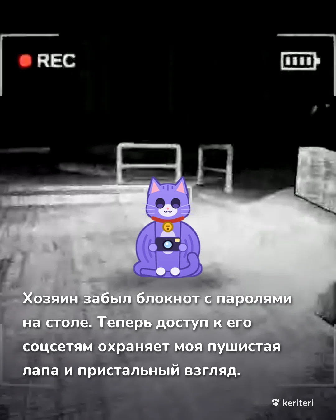 открытка