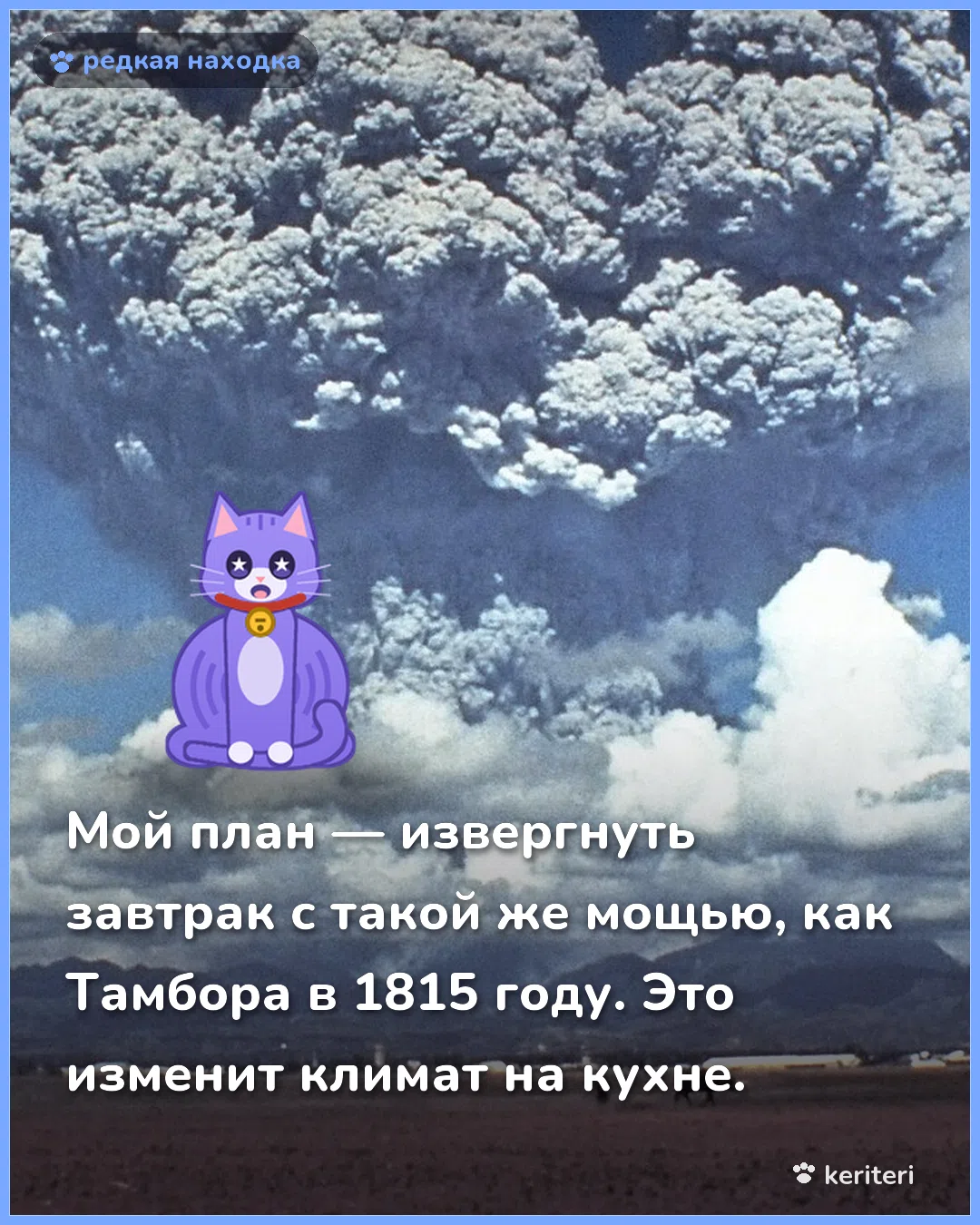 открытка