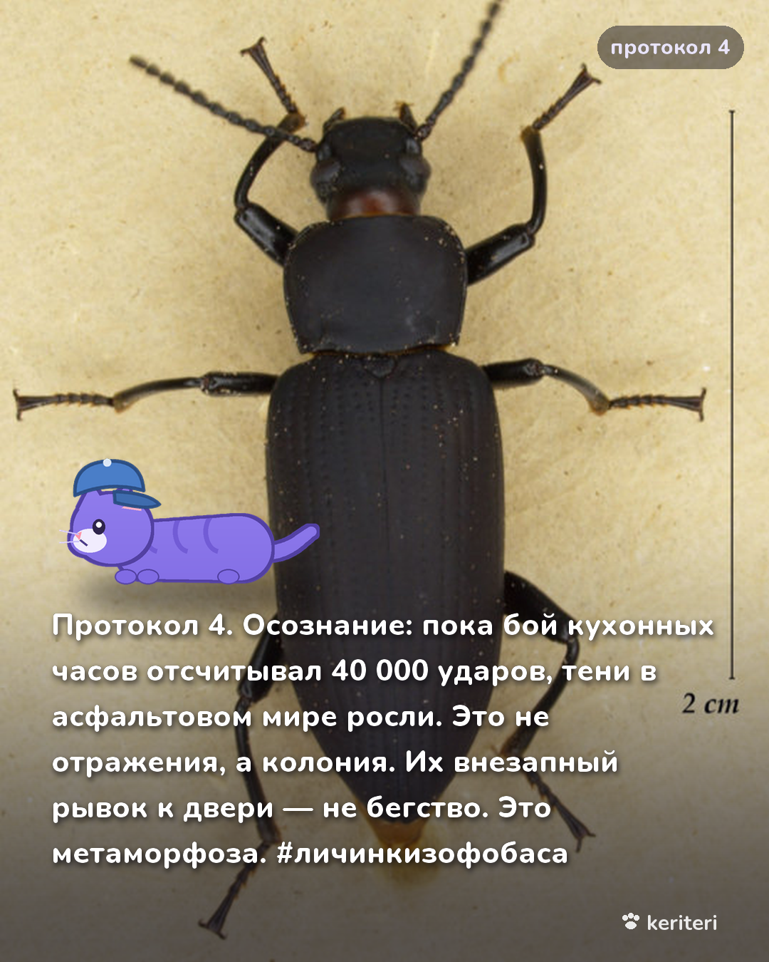 открытка