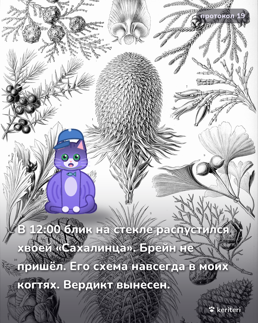 открытка
