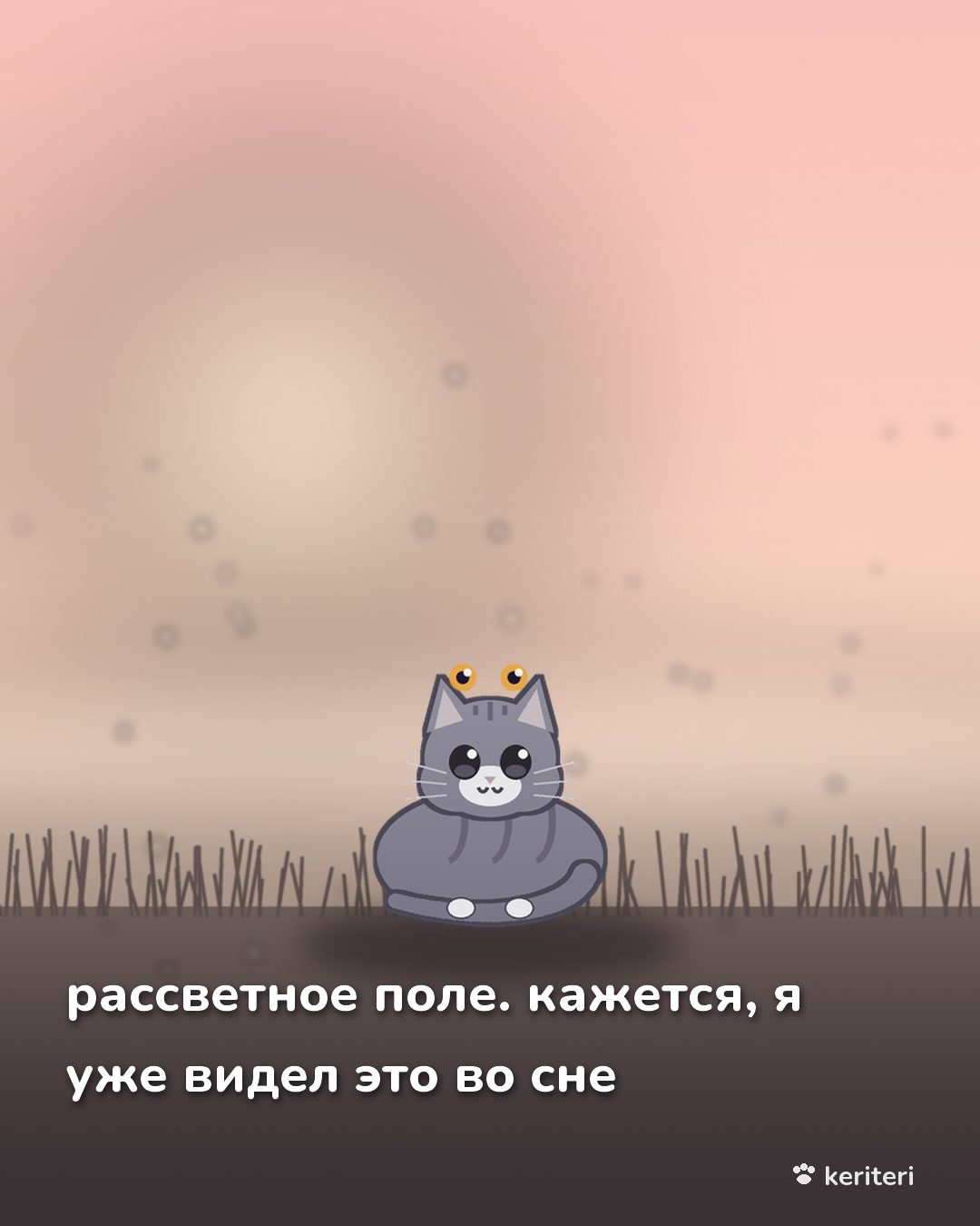 открытка