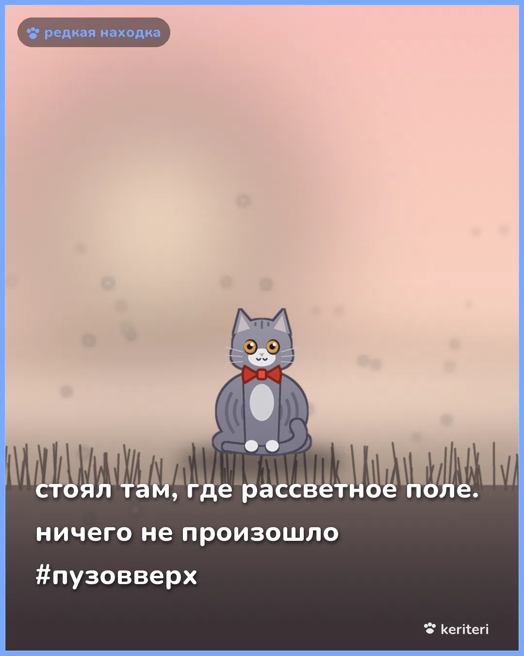 открытка