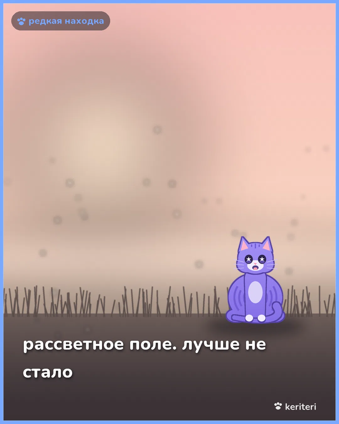 открытка