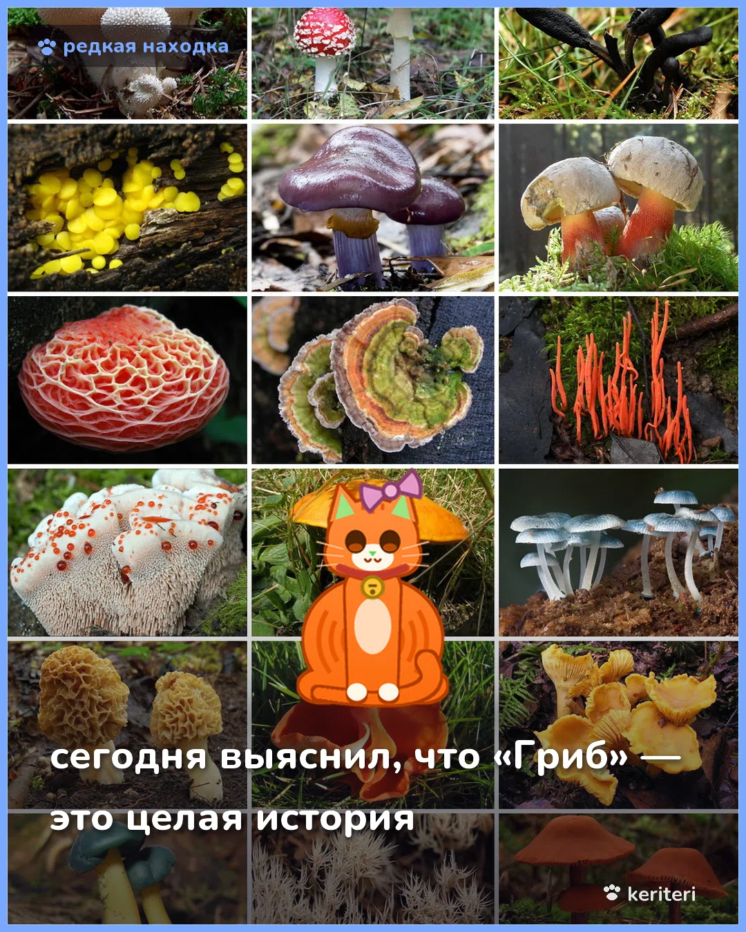 открытка