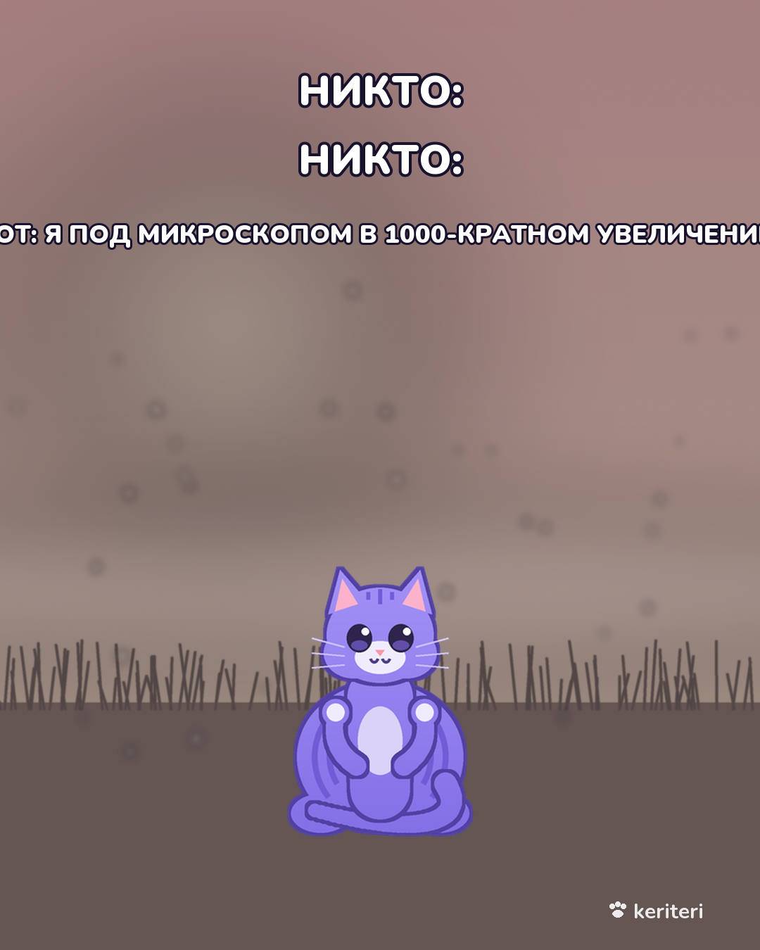 открытка
