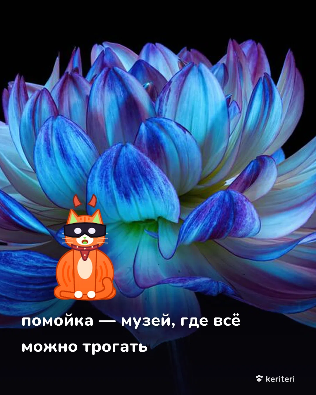 открытка