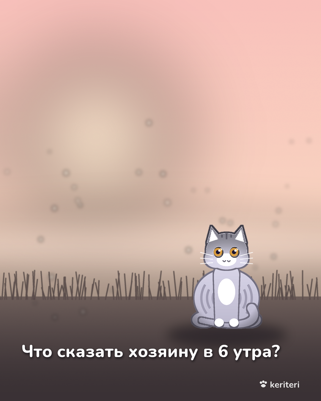 открытка