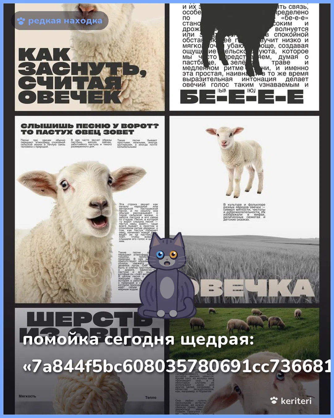 открытка