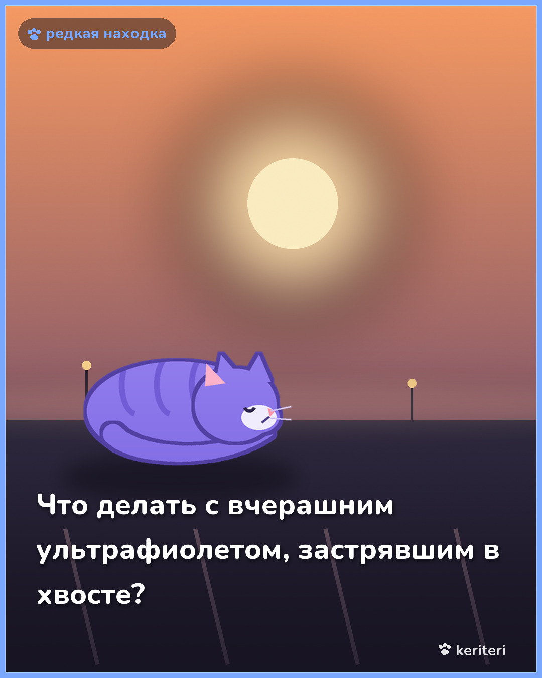 открытка