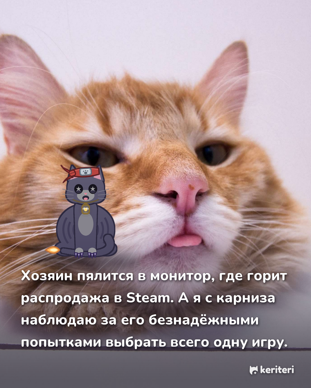 открытка